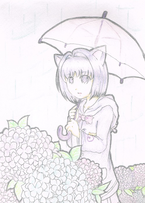 今更梅雨絵 ファンアート掲示板 マビノギ
